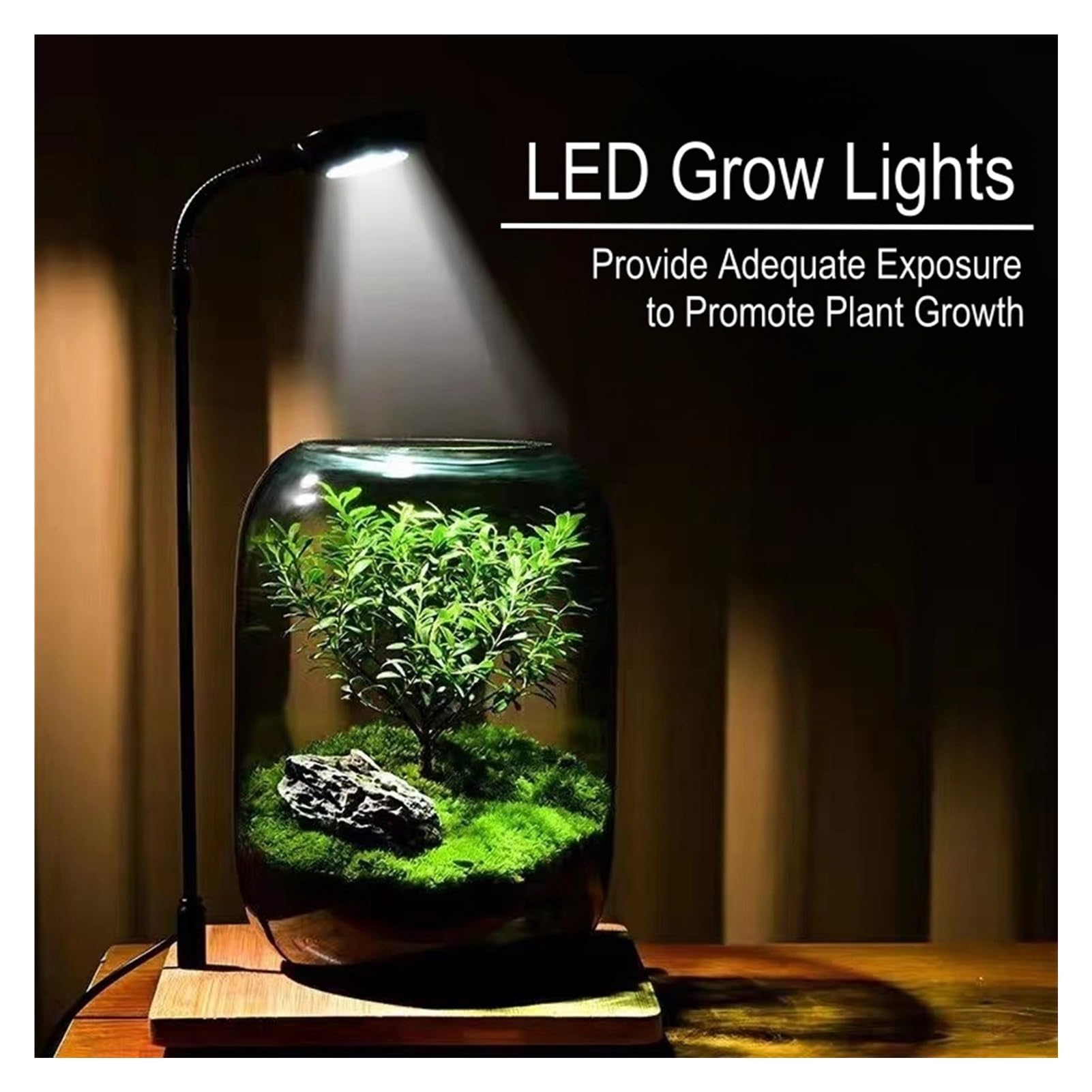 Albero della Vita Pianta Ornamentale Contenitore di vetro LED Set di luce di crescita, con supporto in metallo Base di legno, possibilità di collegare piante artificiali, Adatto per camera da letto, s