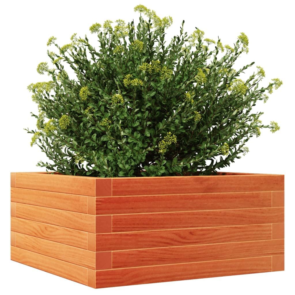 Macetero marrón cera de madera maciza de pino, 50 x 50 x 23 cm, maceta para jardín, terraza, balcón, alféizar de ventana, recipiente para plantas, hierbas, verduras, interior y exterior