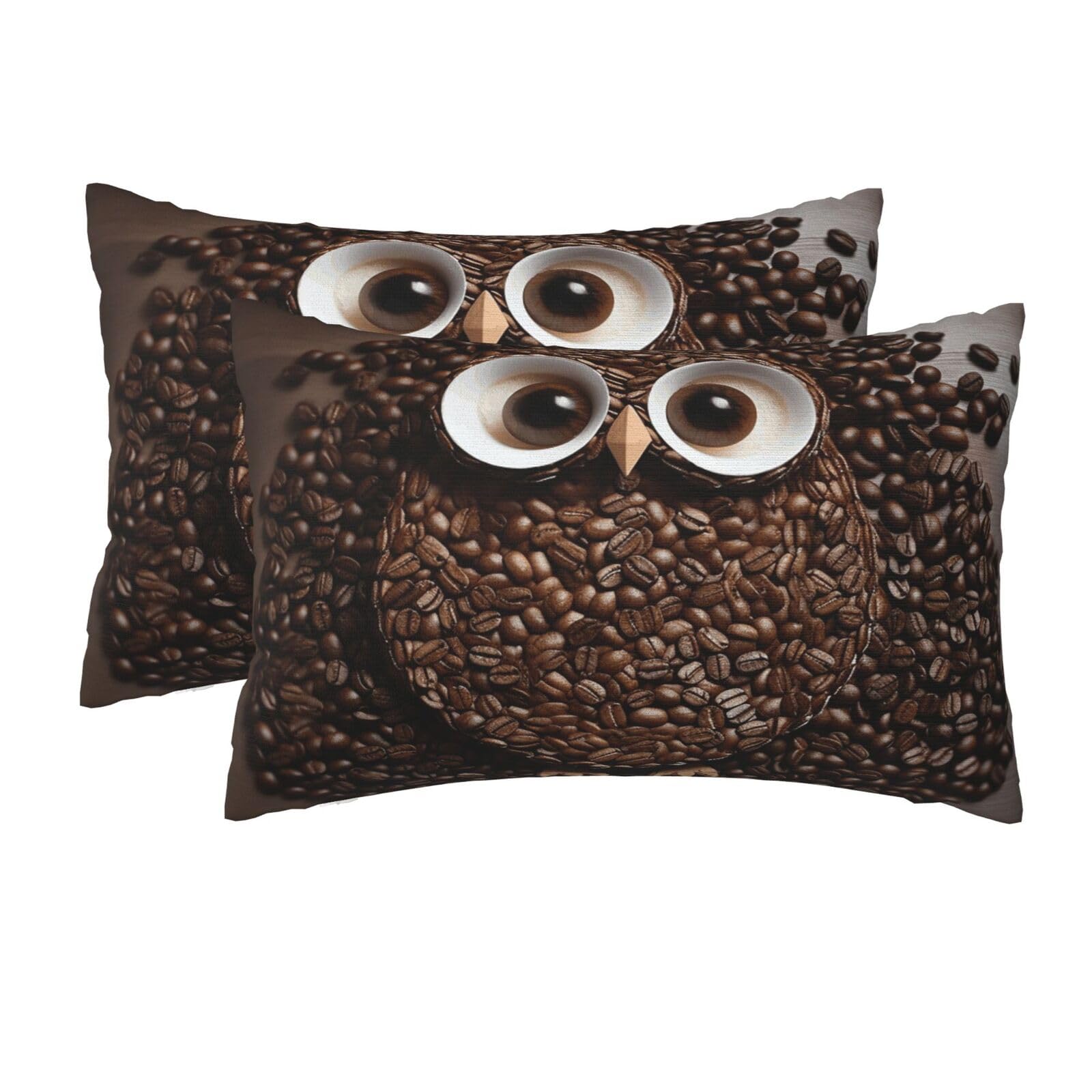 2 Pack Queen Pillow Cases with Hidden Zipper, Soft Breathable Pillow Covers for Hair and Skin, Coffee Bean owl Pillowcases 20"x30" Bed Pillow Protectors Cover for Sleeping Gifts