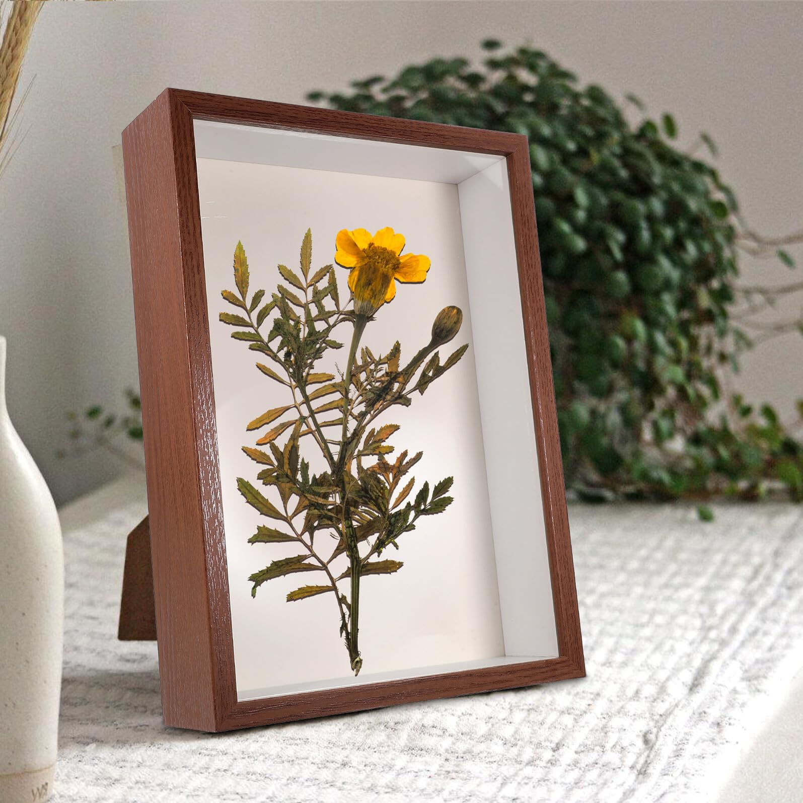 Generico Cornice Espositiva in Legno A4 per Fiori Secchi Vetro Trasparente, Cornice Decorativa Fai da Te per Foto, Vetrina Artistica per Arredamento Casa e Ufficio
