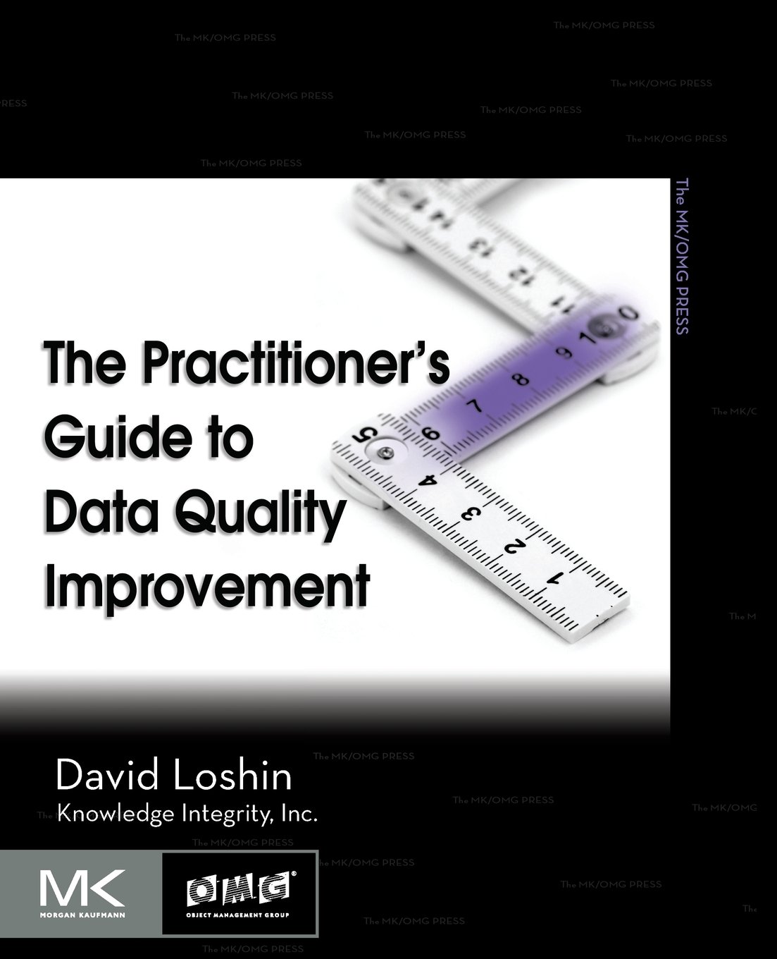 The Practitioner's Guide to Data Quality Improvement (The