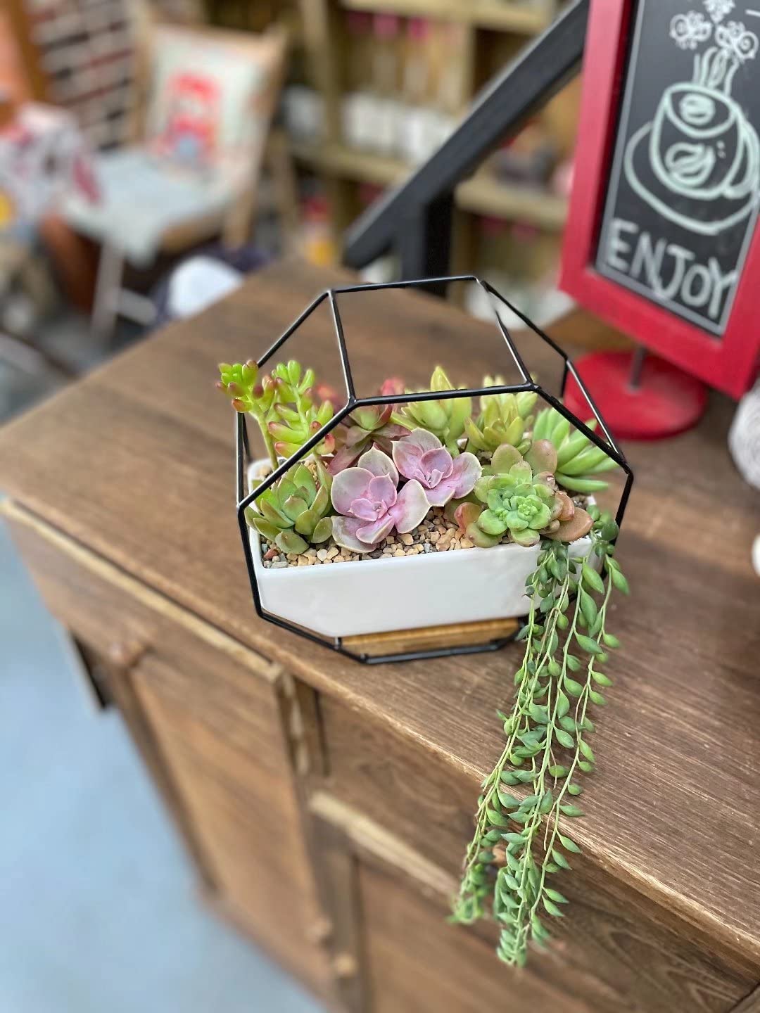 Buy Ivolador Modern Wall Planter, Metal Wire Octagon Design Wall