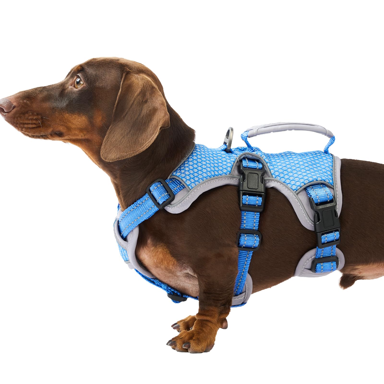 Huntboo Arnes Perro Pequeño Mediano Grande, Arnes Antiescape Perro, Arnés Reflectante para Perros con Asa, Reflectante, Chaleco Ajustable para Caminar, Equipamiento Correr(Azul mar,S)