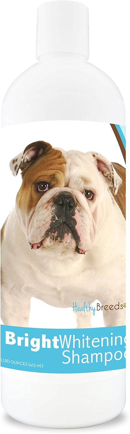 zooplus scratching post