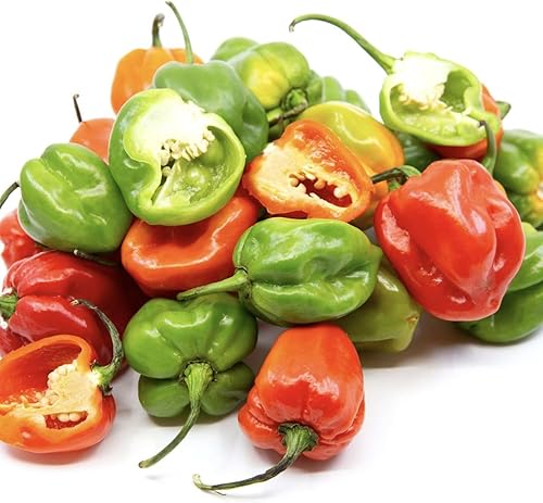 Miniatura 4 de 50 semillas de pimiento habanero para plantar, semillas de pimiento habanero picante, mezcla de 4 variedades