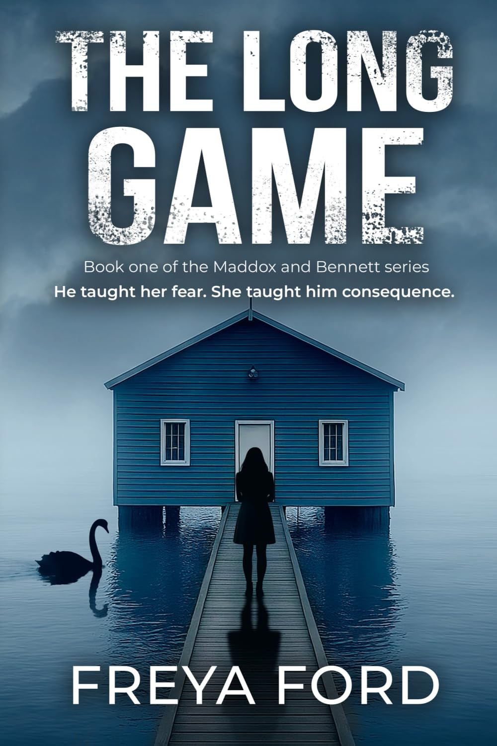 The Long Game: Book One of the Maddox and Bennett Series