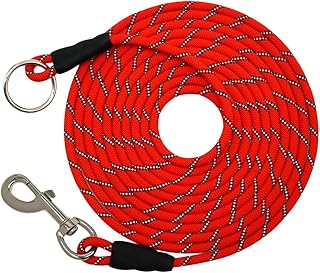 JDIDNEID Dog Check Cord Long Line, 12/20/30/50FT Reflective Rope Training Lead Leash Dog Tether for Outside, Run Line for Small Medium Dogs