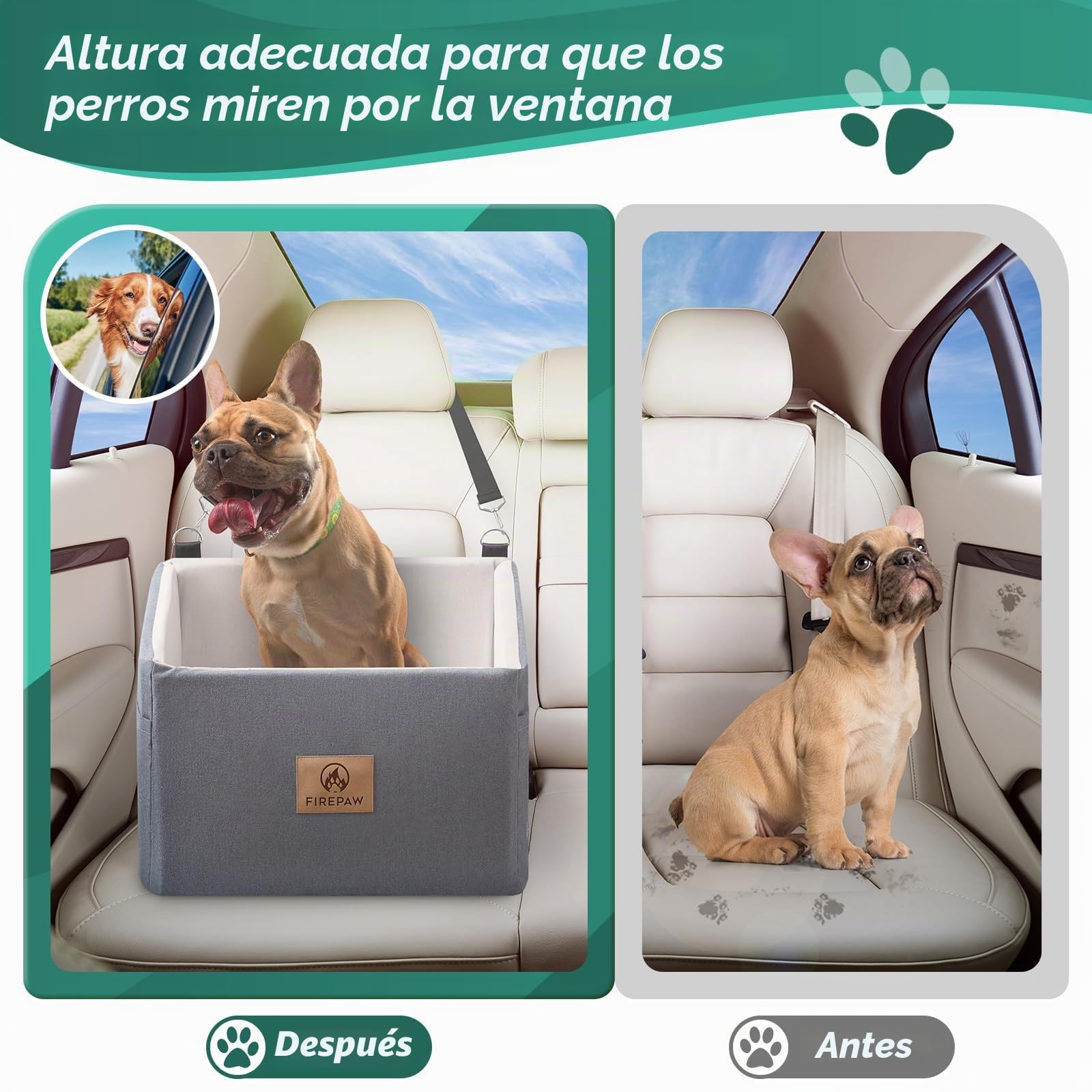 Asiento de Coche para Perros, Asientos elevadores para Perros pequeños 11 kg, Funda Lavable extraíble, Gris Elevado para Mascotas