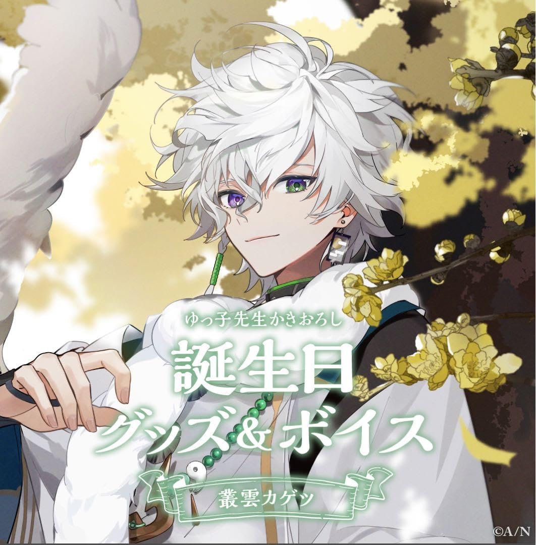 Amazon.co.jp: 叢雲カゲツ 誕生日 グッズ 2024 フルセット : おもちゃ