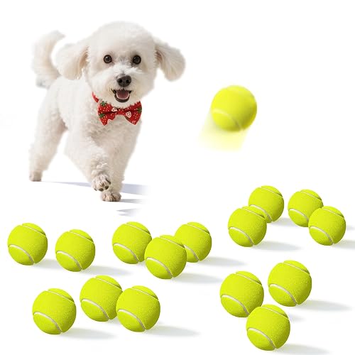 Pelotas de tenis interactivas para perros de 2 pulgadas para ejercicio y entrenamiento, paquete de 15