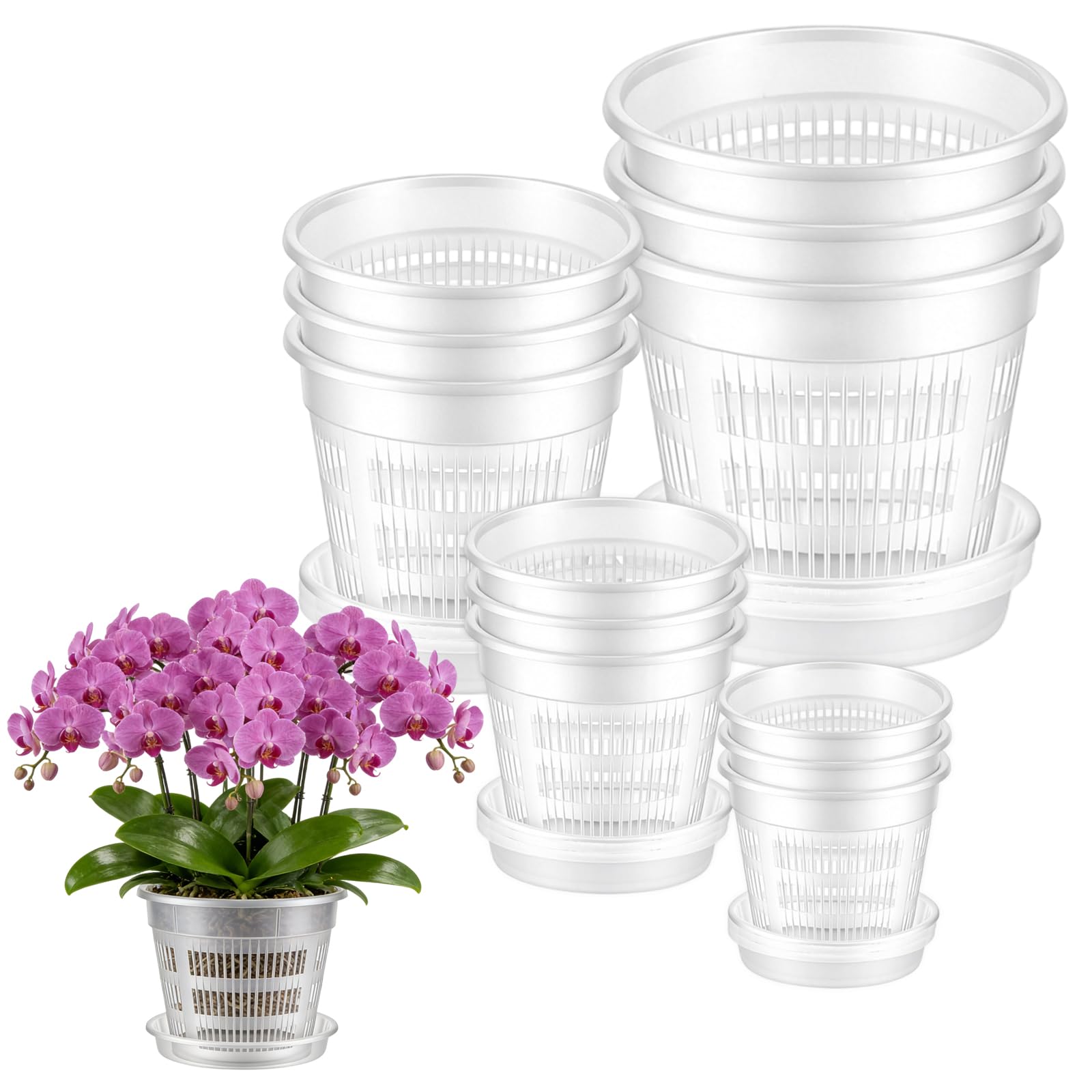 Pots à orchidée transparents respirants pour stimuler la croissance des racines x12