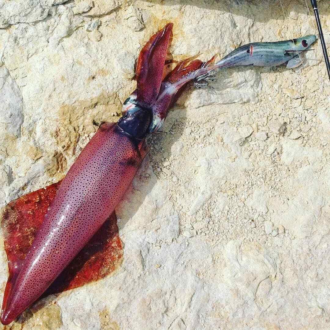 DTD Wounded Fish Oita 3.5 Natural Weever - Señuelo De Pesca