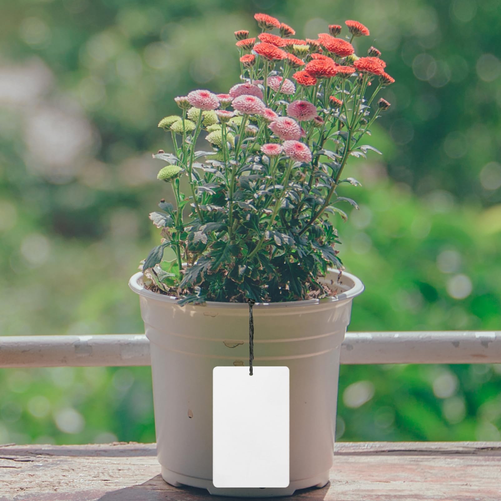 BESPORTBLE 100stücke Aluminiumpflanzenschilder Wetterfeste Pflanzenetiketten Für Garten Blumen Und Bäume Leicht Tragbar Und Wiederverwendbar Für Gartenliebhaber