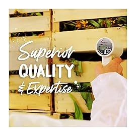 Boiron Phosphorus 200ck Homeopathic Medicine for Dizziness with Sleeplessness - Pack of 3 (240 Pellets)