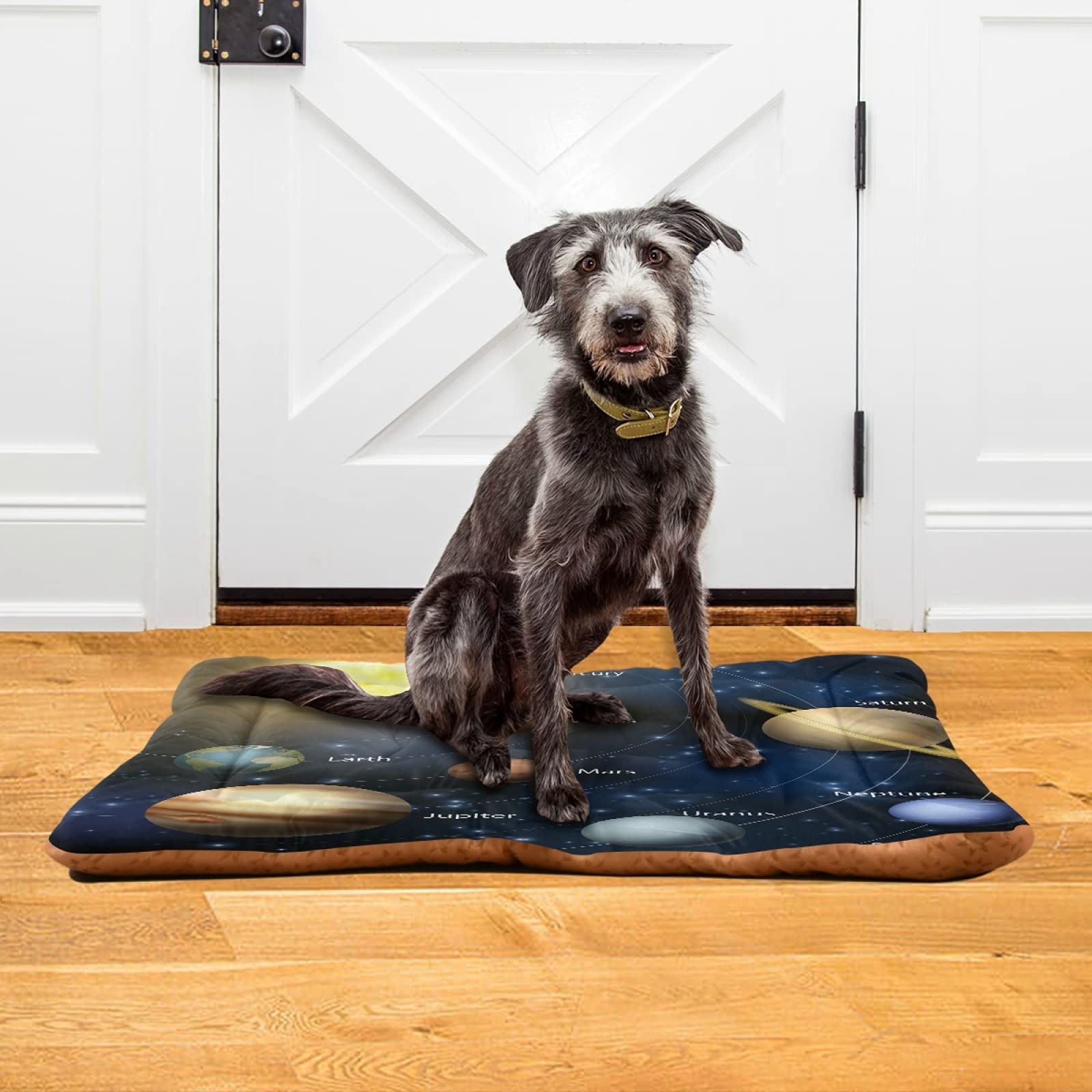 Space Galaxy Constellation Hundebett – 91,4x61 Cm, Ultraweich, Rutschfest, Maschinenwaschbar