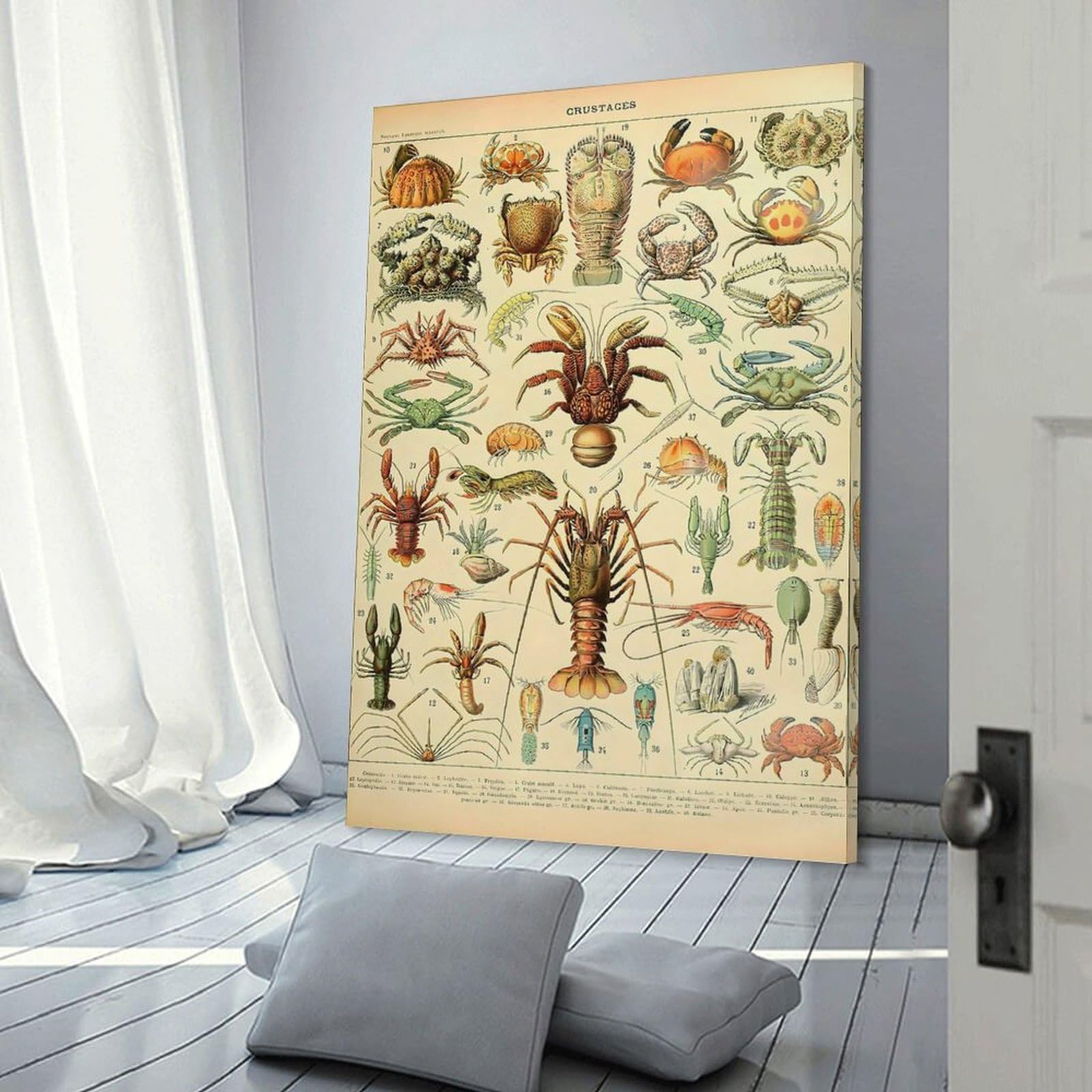 Junmoney Arthropod Canvas Wall Decor, 12x18inch(30x45cm), for Gallery Wall Decor And Room Displays, Wall Decor Suited to Curated Displays