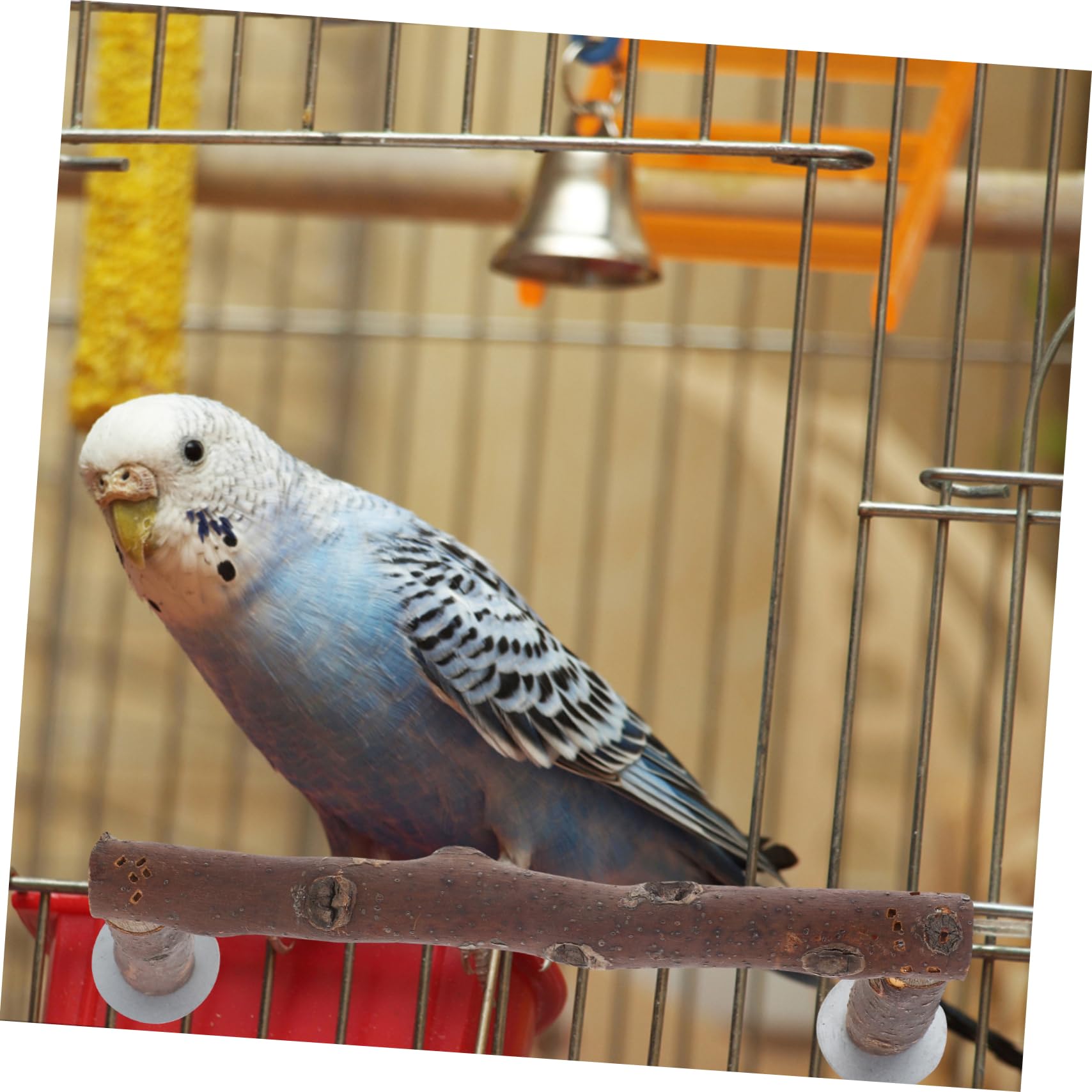 Happyyami 4stücke Vogel Perch Stand Für Papageien Stabiler Und Sicherer Für Nymphensittiche Und Wellensittiche Geeignet Für Große Vogelkäfige Mit Natürlicher Holzstruktur Langlebig