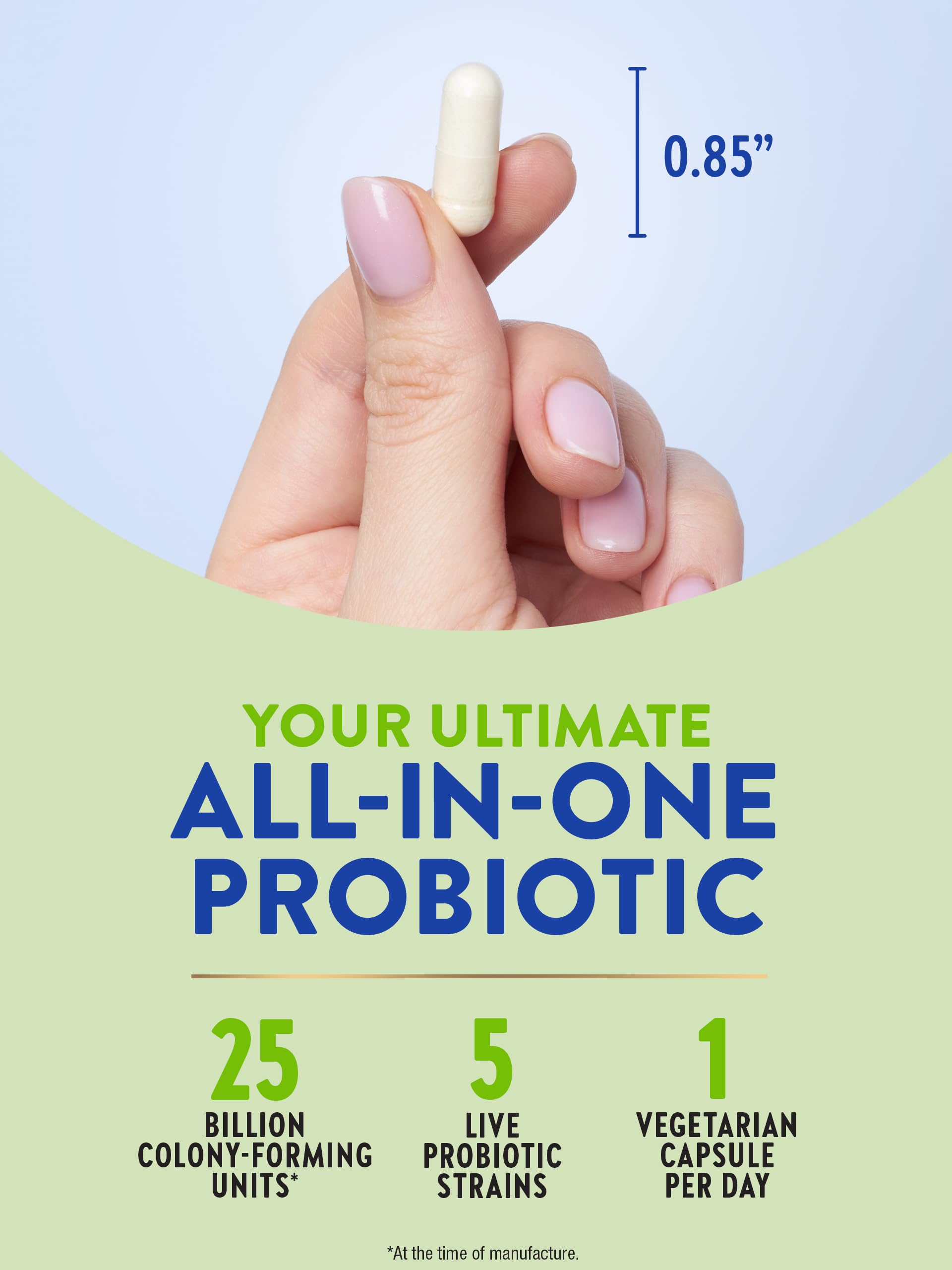 Raw Flora Probiotic with Prebiotics | 25 Billion CFU | Daily Digestive Capsules | Vegetarian & Gluten Free Supplement for Men and Women | by Nature's Truth