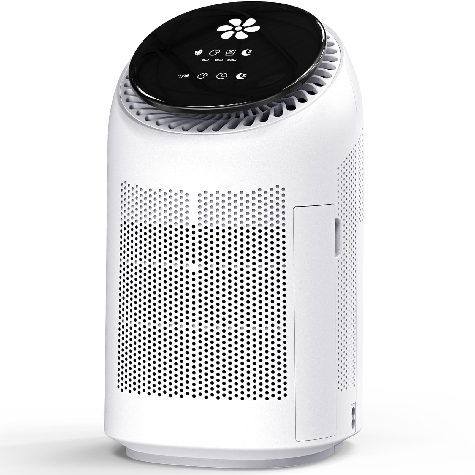 Lonxfy Dehumidifier with Purification Function