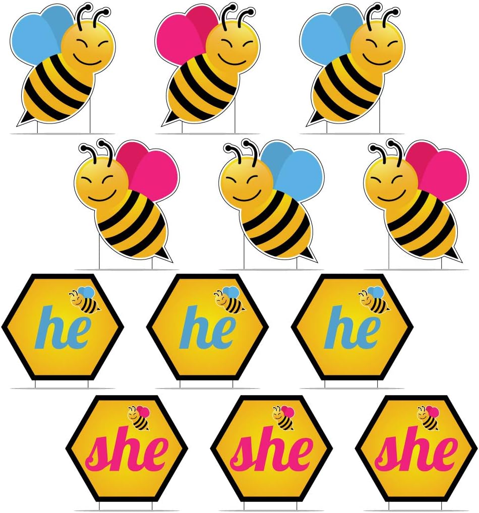 VictoryStore Gender Reveal Decorations - Gender Reveal Pathway Markers What Will Baby Bee Decorations Includes stakes
