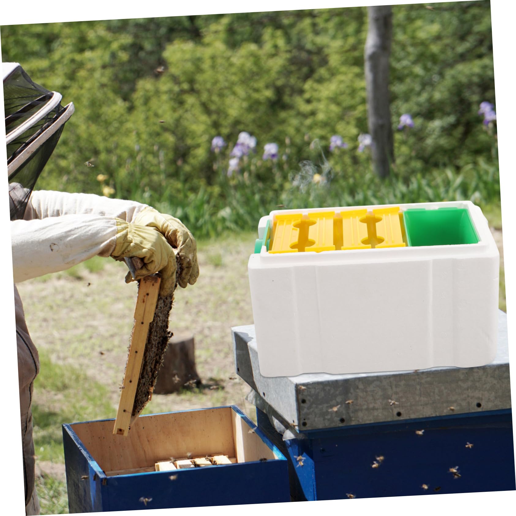 Bienenstock Begattungskasten für Imker Stabiler Bienenbrutkasten aus Langlebigem Material Leichter Bienenfütterungskasten für Bienenzucht und Bestäubung im Garten