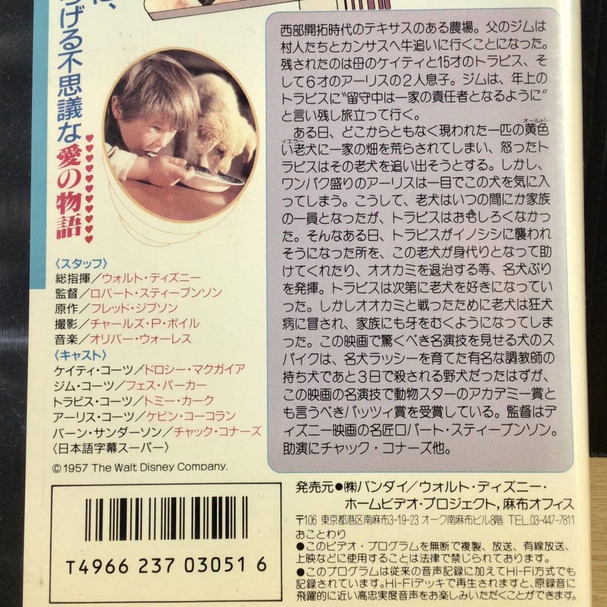 Amazon.co.jp: 【レンタル落ち・VHSビデオソフト】黄色い老犬