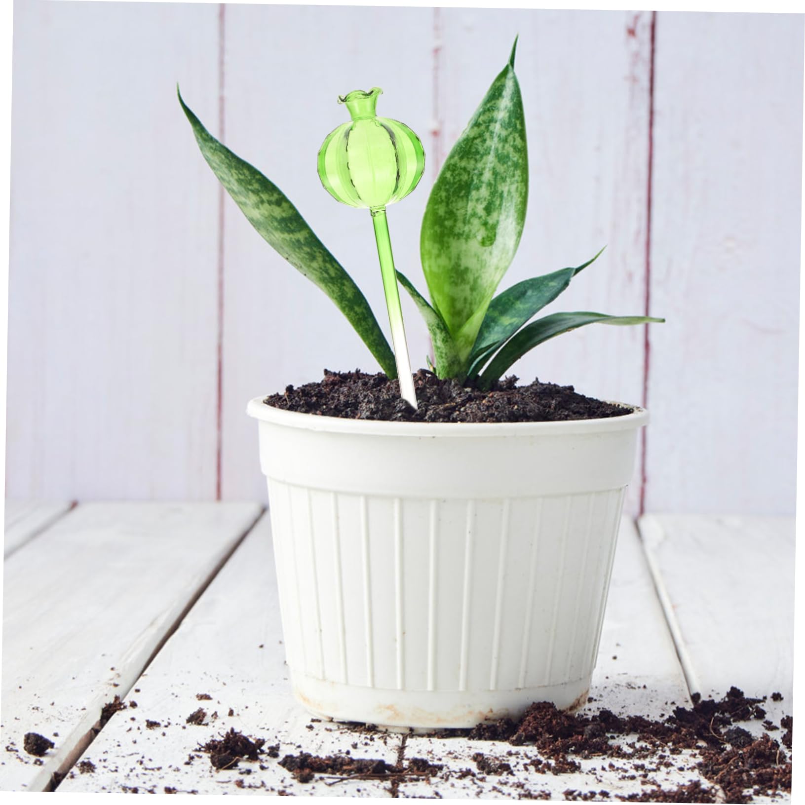 Globes D’arrosage pour Plantes 4 Pièces en Verre, Arrosage Automatique