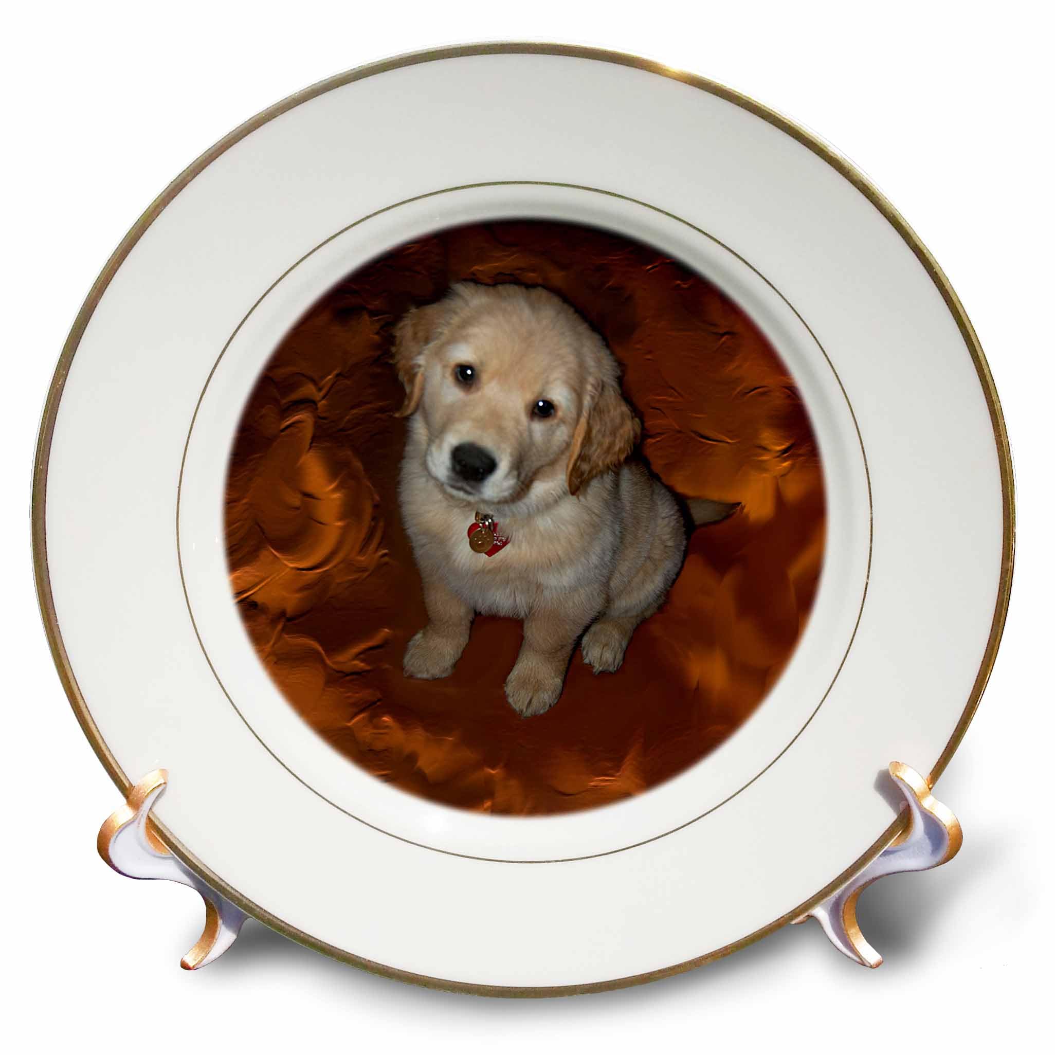 3dRose cp_3970_1 Golden Retriever Puppy-Porcelain Plate, 8-Inch