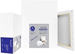 Genixart Stretched Canvas for Painting, Professional Artist Quality Acid Free White Blank Canvas for Oil & Acrylic Painting (12"x16", 5Pack)