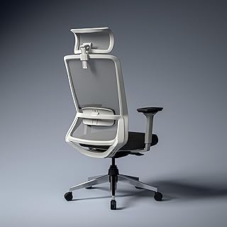 Green Soul Leo Superb | Designed for Broad Shoulders | Mesh | Ergonomic Office Chair for Work | 5 Year Warranty | Multi-Lo... Price In India
