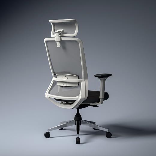 Green Soul Leo Superb | Designed for Broad Shoulders | Mesh | Ergonomic Office Chair for Work | 5 Year Warranty | Multi-Lo...