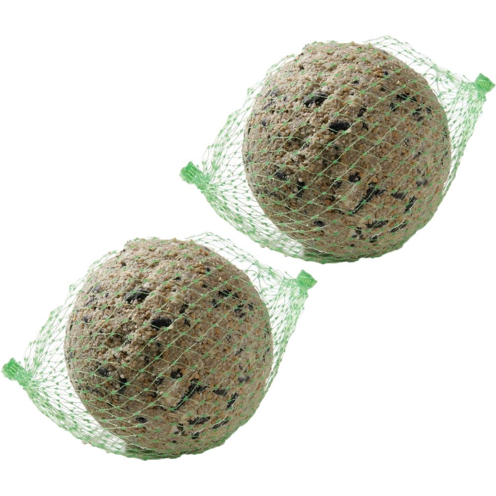 Sfere di mangime per uccelli, sfuse, 100 pezzi