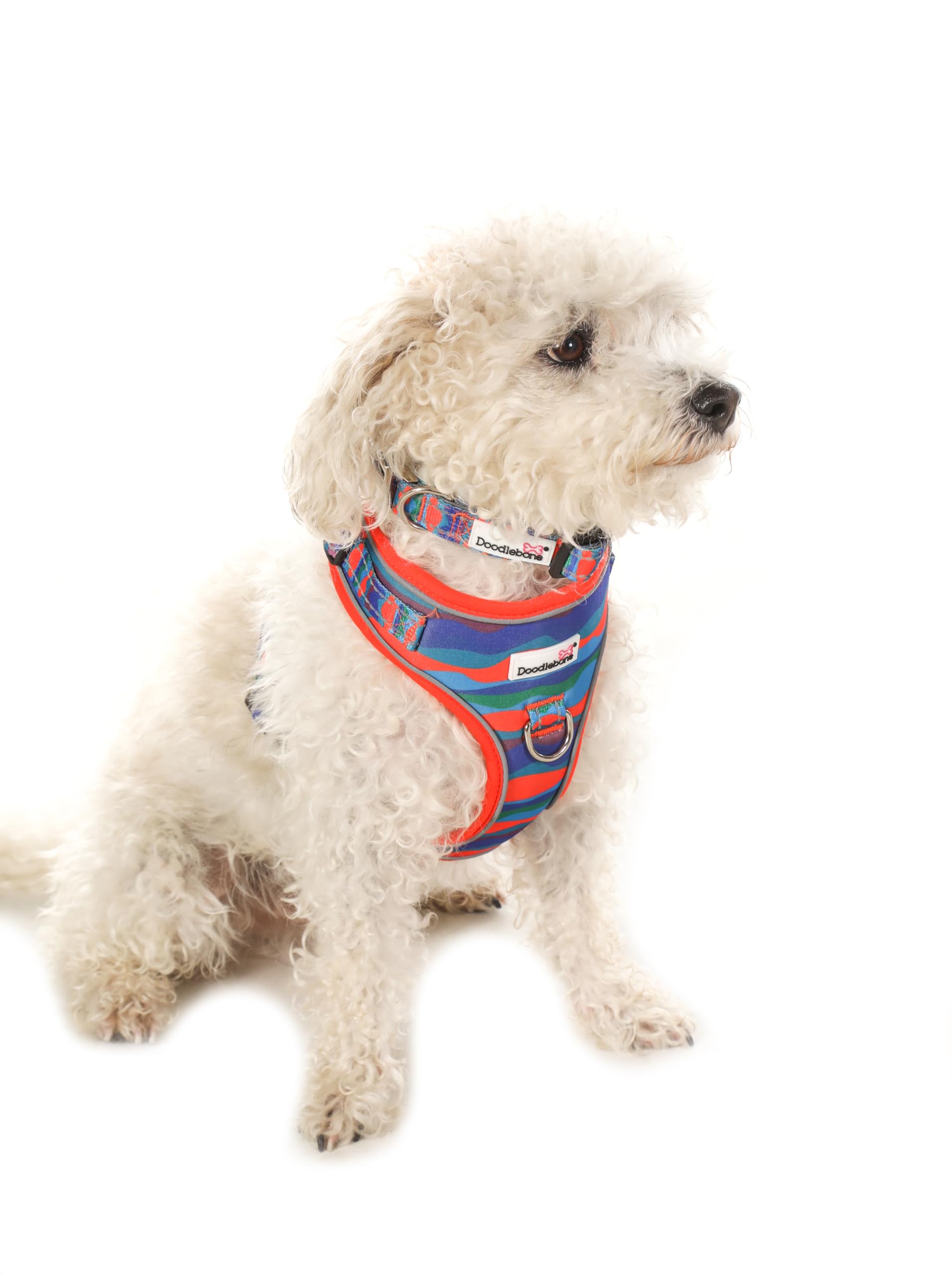 Doodlebone, Adjustable Airmesh Harness, Over Head Dog Harness with Adjustable Neck and Chest, Dual D Rings - Image 2