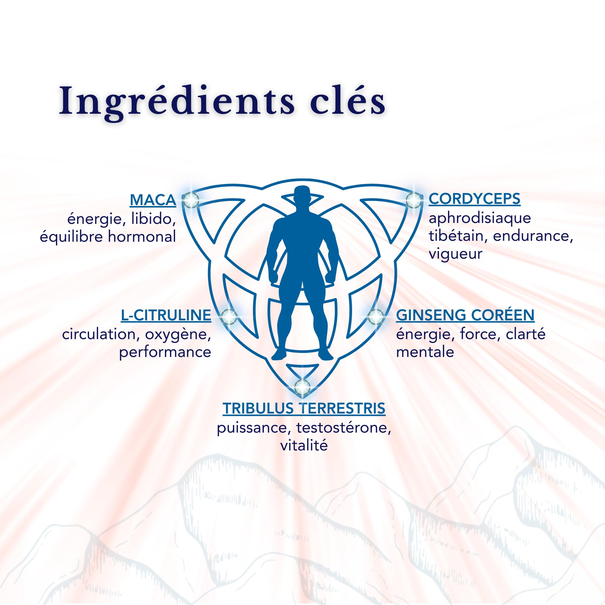 Tribulus Terrestris, Maca, L-Citrulline, Cordyceps, Ginseng - SmartAbsorb™ | pour l’énergie, la performance & l’immunité | 28 sachets quotidiens