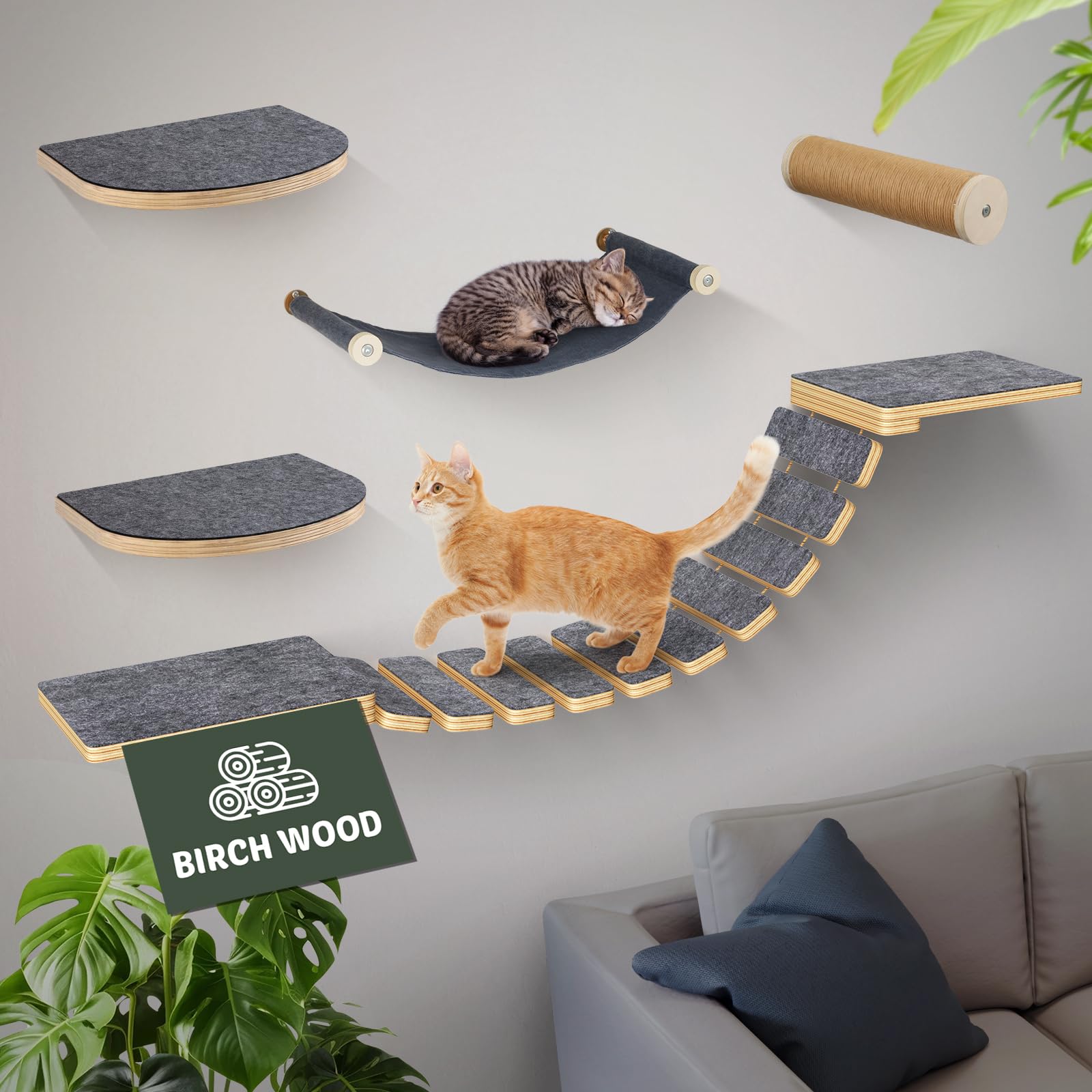 Set da parete modulare per gatti – in legno di betulla | 5 in 1 elementi da parete per gatti e passerella | Portata massima 35 kg | Montaggio semplice fai da te