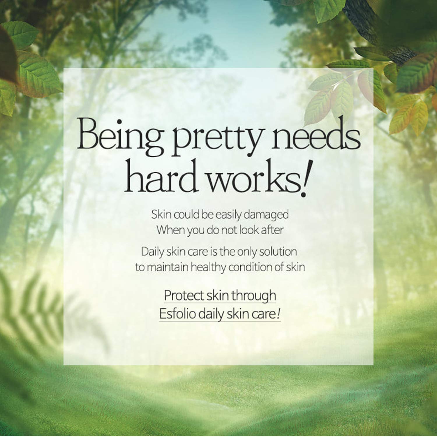 Esfolio Collagen Daily Eye Cream – Firming Hydrolyzed Collagen Formula for Under-Eye Care – Lightweight Moisturizer with Botanical Extracts – Korean Skincare (60 ml / 2.03 fl oz) - Image 4