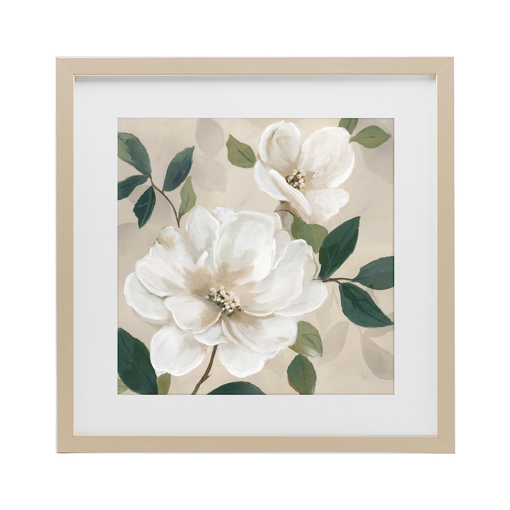 'Serene White Magnolia Study'| Framed Print Under Glass
