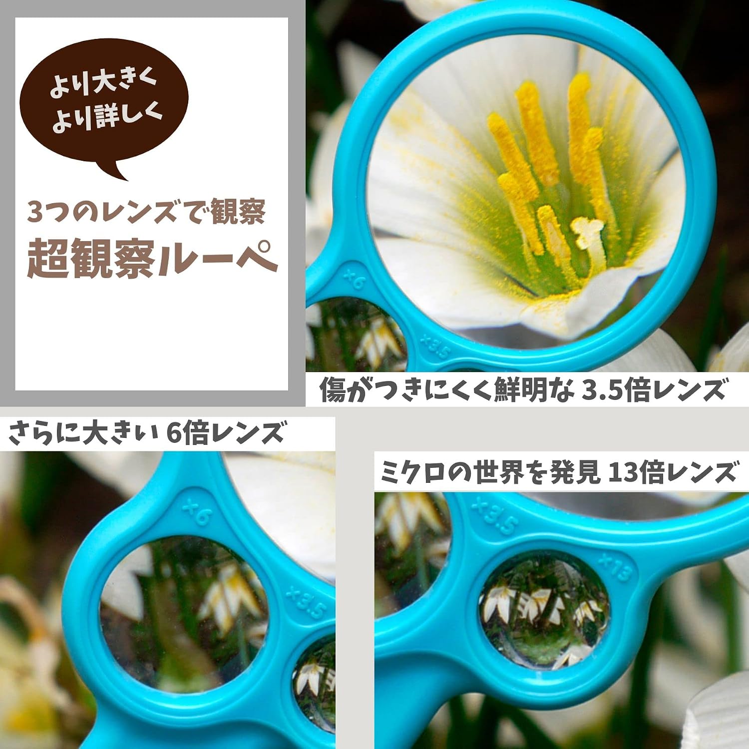 Reimei Fujii EW401 Super Observation Loupe Teacher Glass