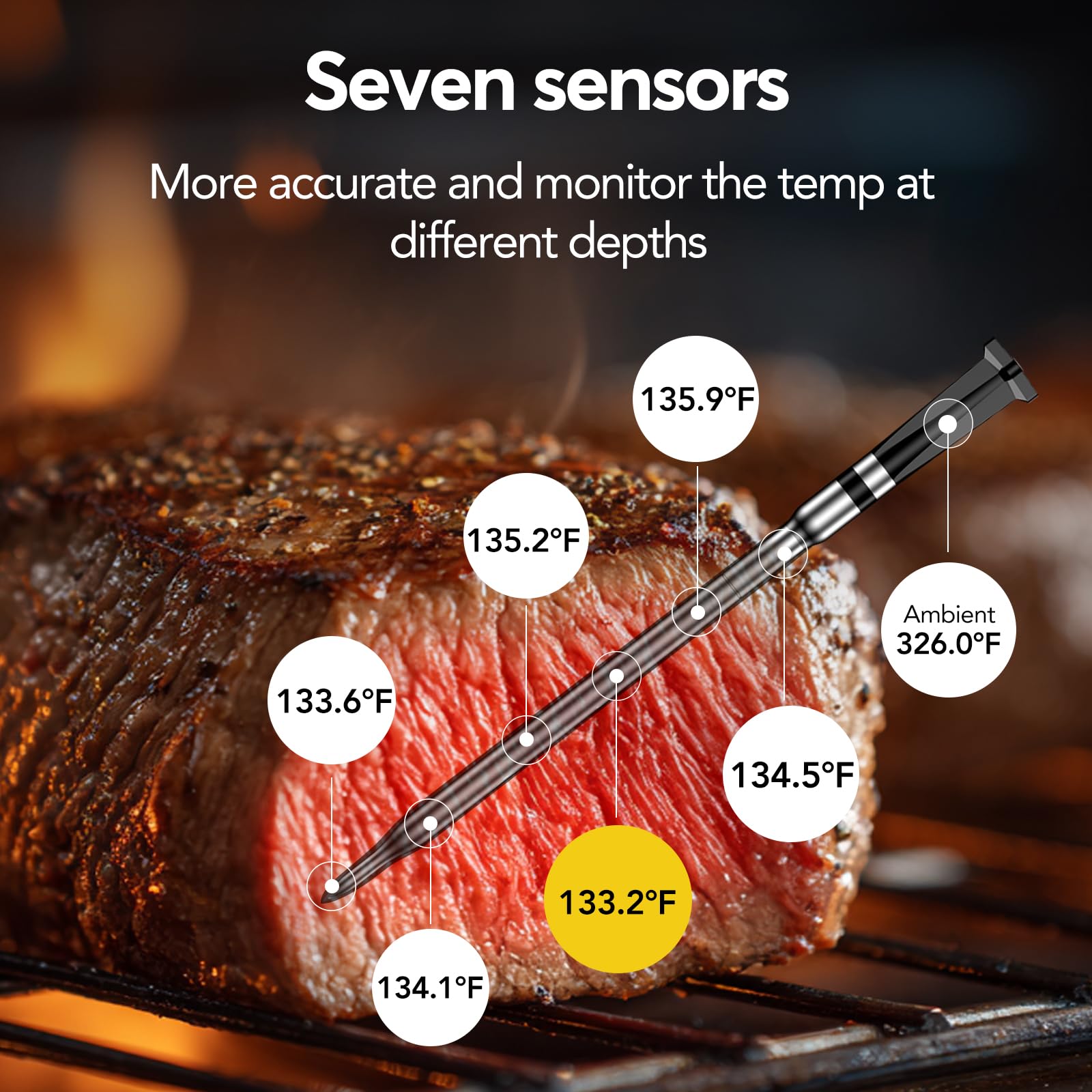 BBQOVN Termómetro inalámbrico WiFi para carne, rango ilimitado (1, negro, pequeño)