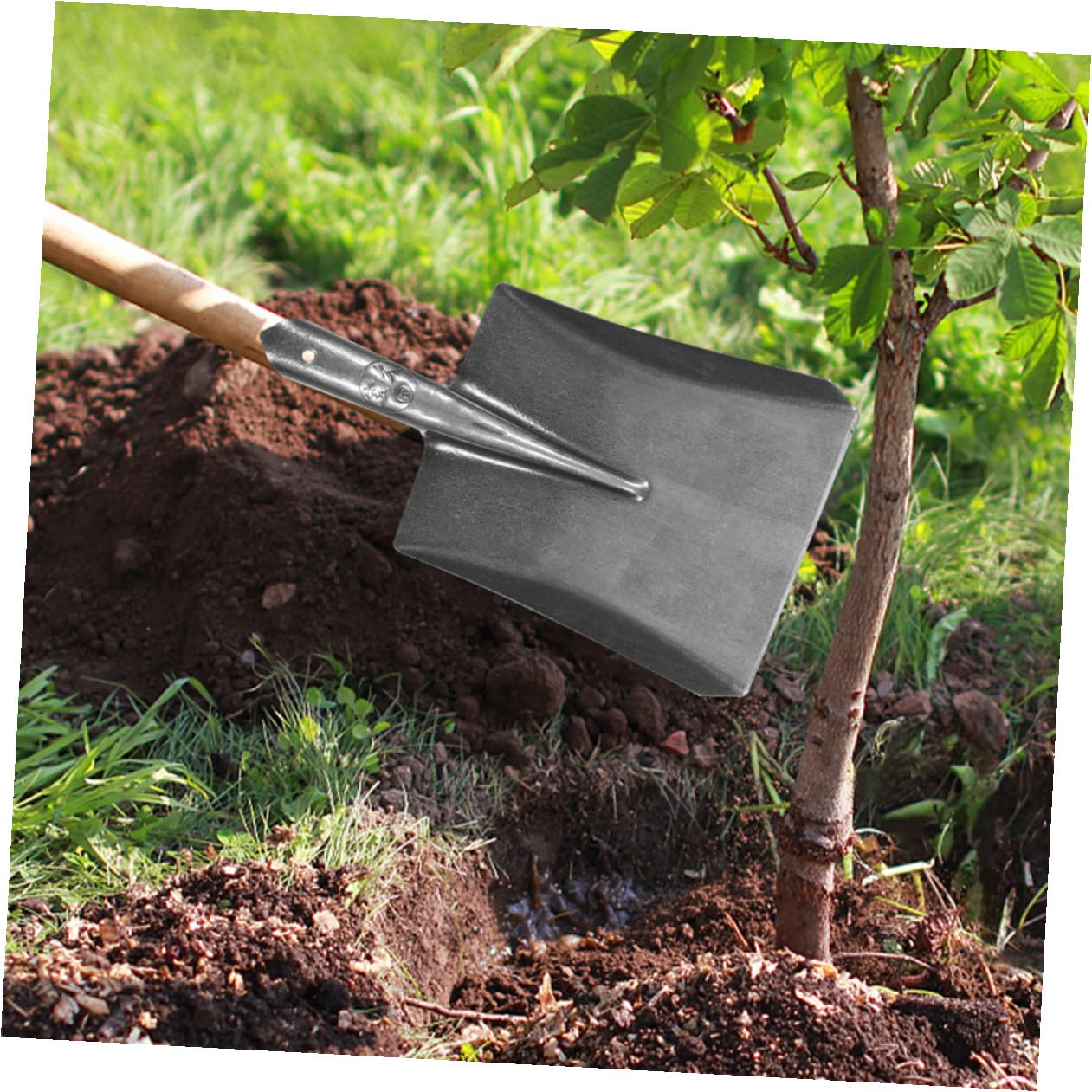 Toyvian Gartenschaufel Eisenschaufel für Gartenarbeit Pflanzung und Jäten Leichtes Stahlwerkzeug Kompakt für Gartenliebhaber und Heimwerker