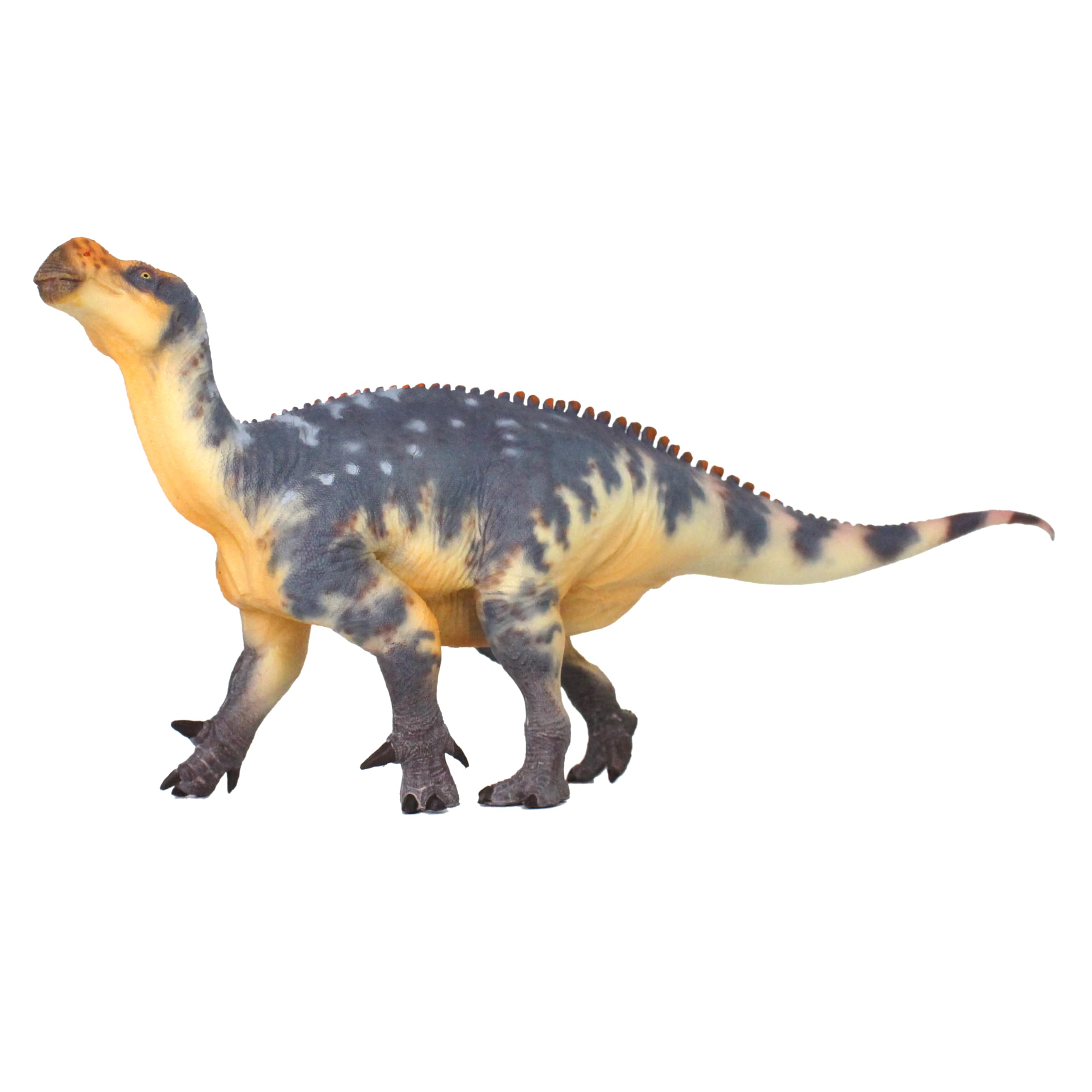 Iguanodon 1:35 Science and Art Model (Zheng Tian Shou)
