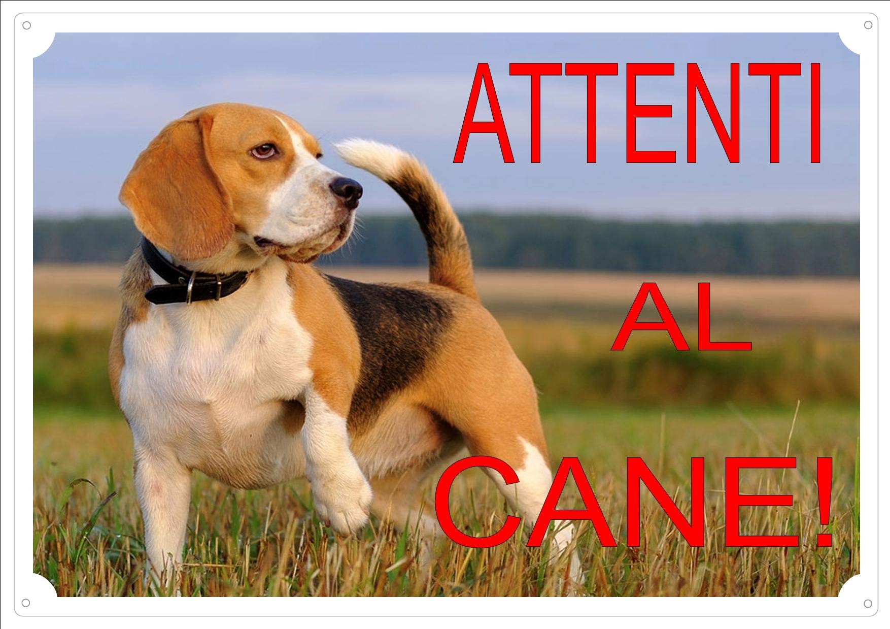 Targa Metallo Cane 20x30 In Metallo - 20x30cm, Design Beagle, Per - 8
