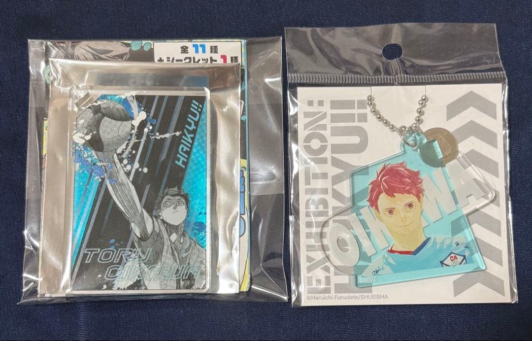 展 及川徹 ジャンプショップ ドミノアクリル