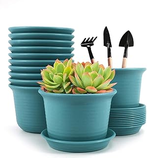 Plastic Flower Plant Pots, Set of 12 Flower Pots, 6 inch Plant Containers with Drainage Holes and Trays, Decorative Round ...