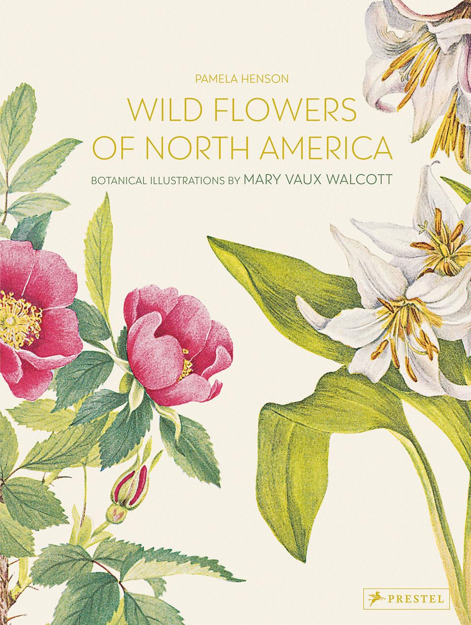 超希少 1876年 アンティーク WILD FLOWERS 手彩色 大型本 Wild Flowers of North America: Botanical Illustrations by Mary