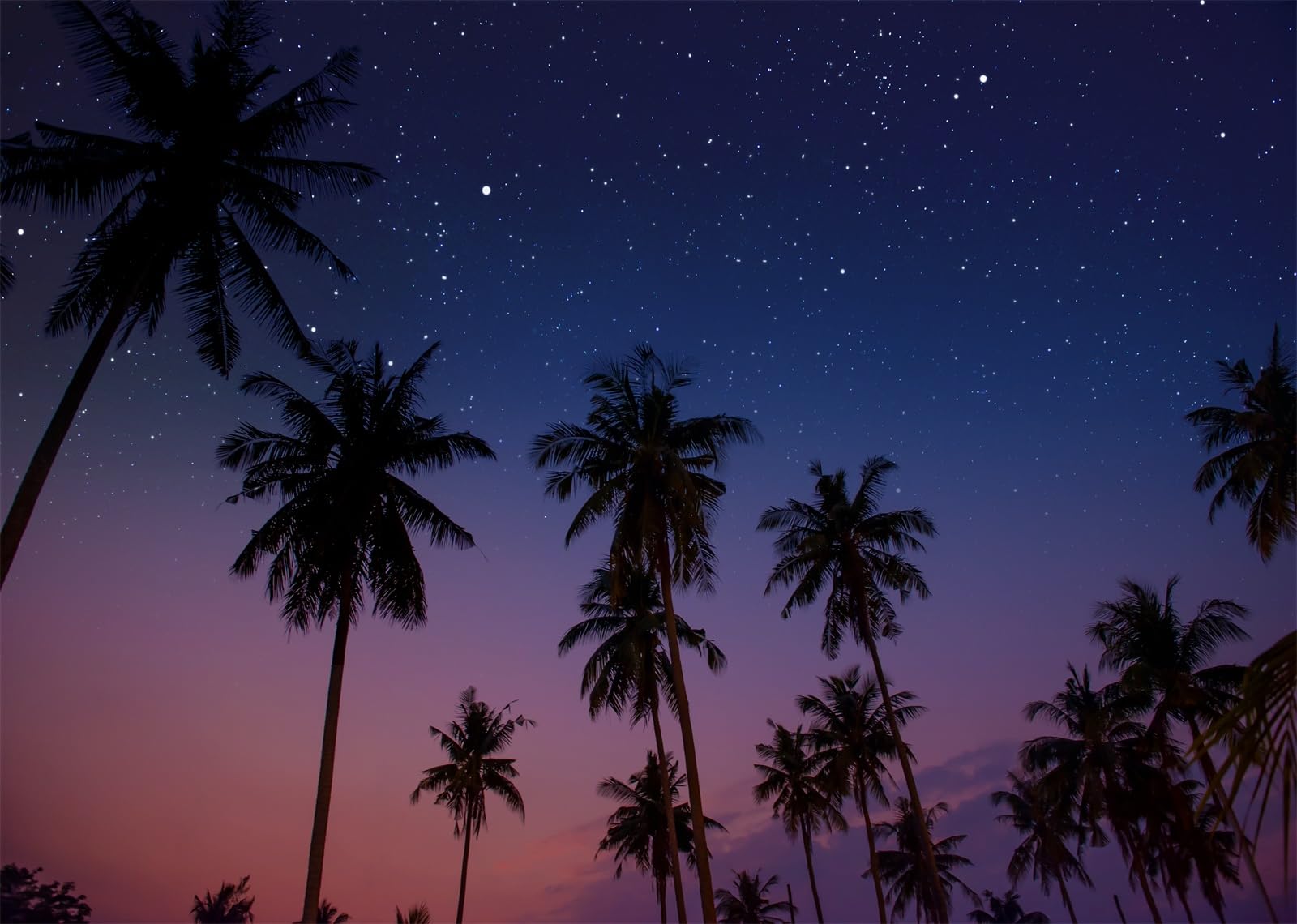 10x8FT (3x2.5m) Sagome Di Palme Sotto Il Cielo Stellato Sfondo Fotografico | Orizzonte Notturno Tropicale Fondale In Tessuto,Crepuscolo Viola Palme Alte,Per Feste Estive E Foto Delle Vacanze,Photo Booth