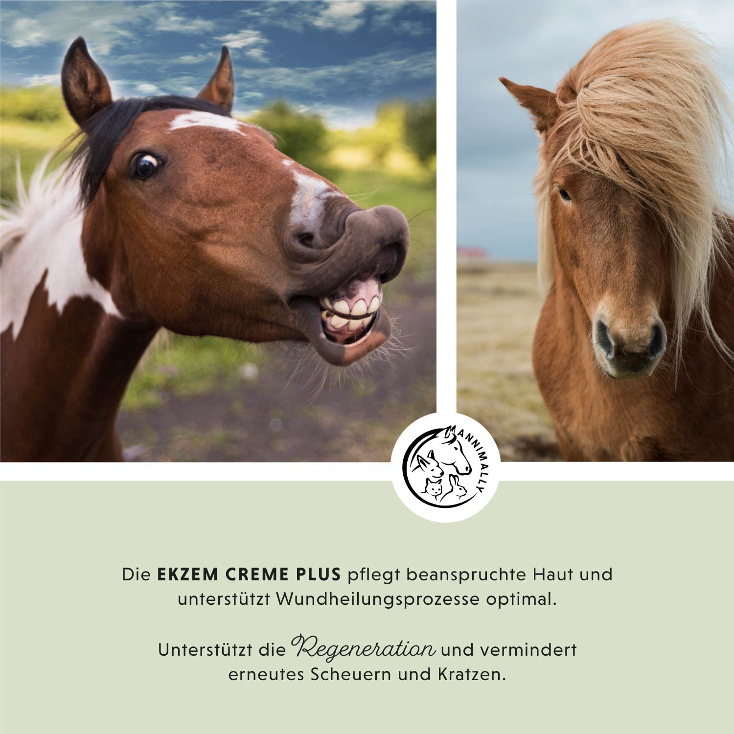 Annimally Crème de Soin Plus 500 ML pour Chevaux – Crème hydratante et apaisante avec D-Panthénol et Huile de Camomille – Soin de la Peau Sensible, sèche et sujette aux irritations