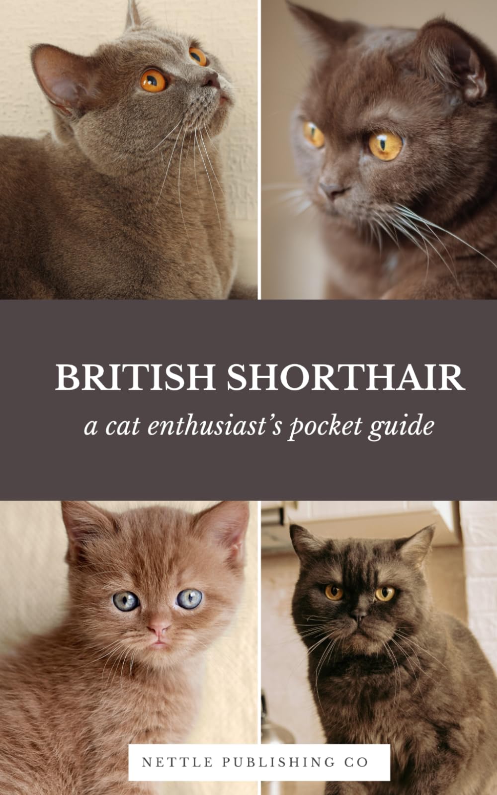 British Shorthair Cats | A Complete Pocket Guide Book: Breed-Specific Care Handbook With Pet Passport with Records Logbook (Cat Breeds by Nettle Publishing Co)