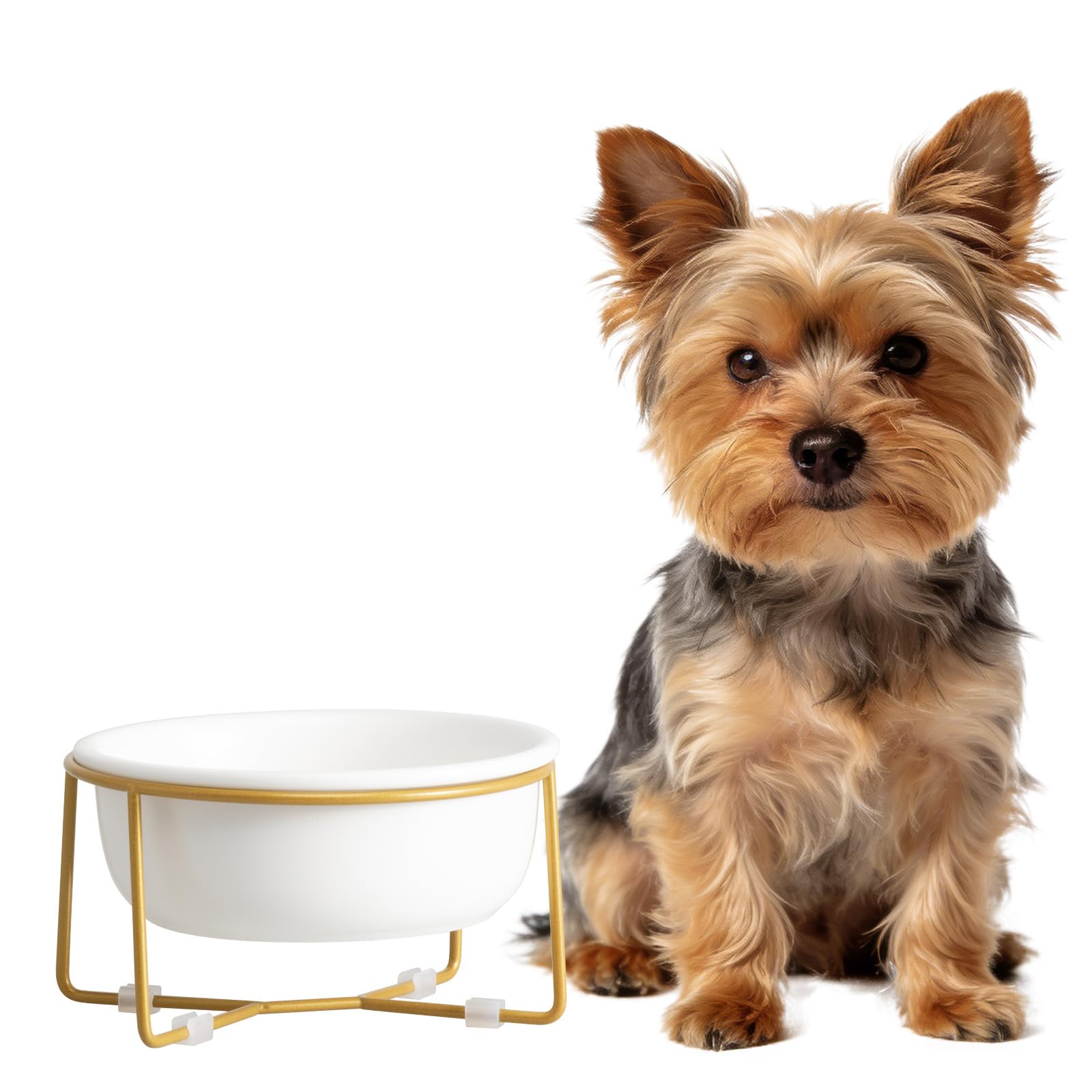 Gamelle pour chien surélevée anti-vomissement pour petit chien et chat rétif