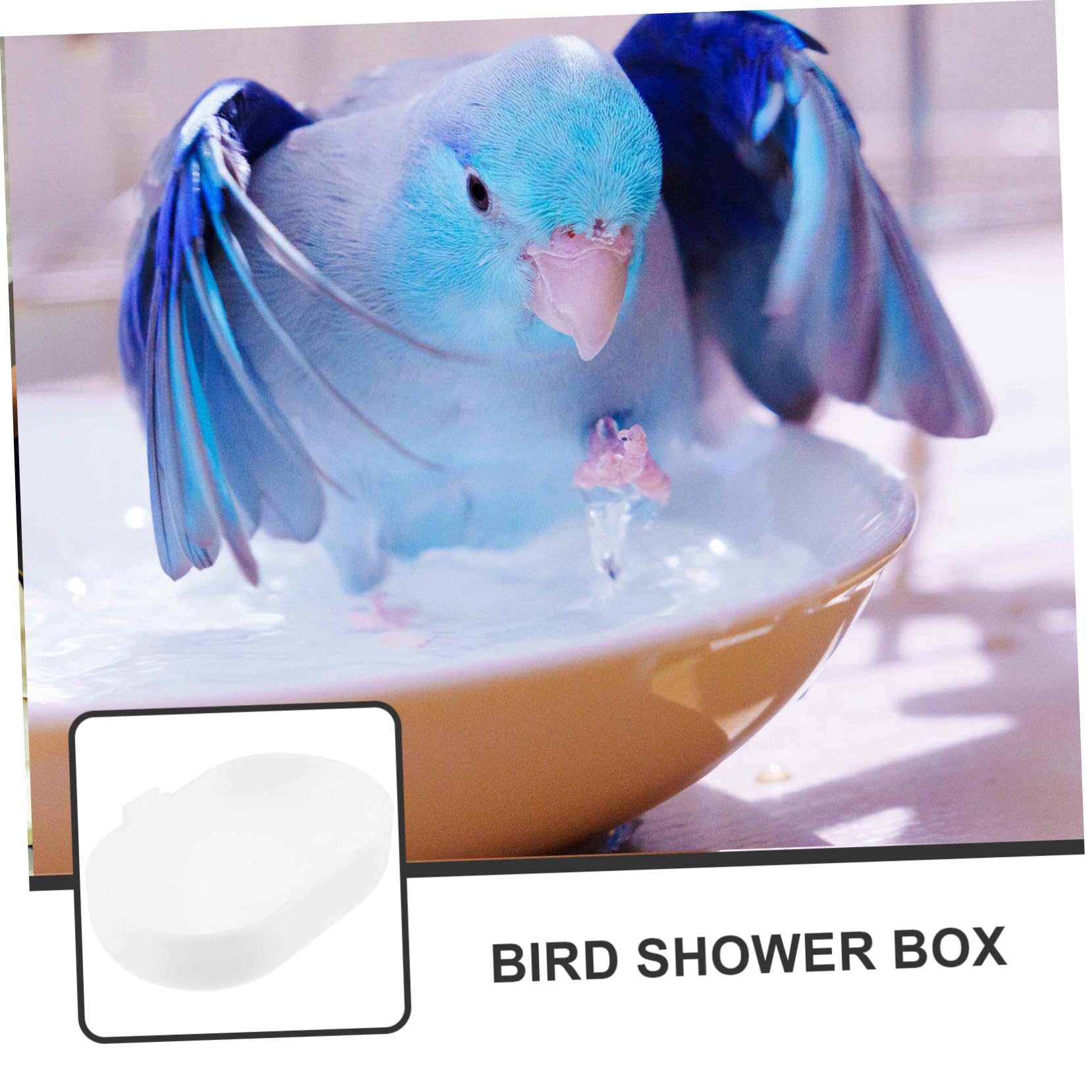 BESPORTBLE 25pezzi Vaschetta da Bagno per Uccelli con Design Semplice e Pratico Accessorio per Pappagalli e Parakeet Box Appeso per Gabbie di Uccelli Materiale Leggero e Resistente
